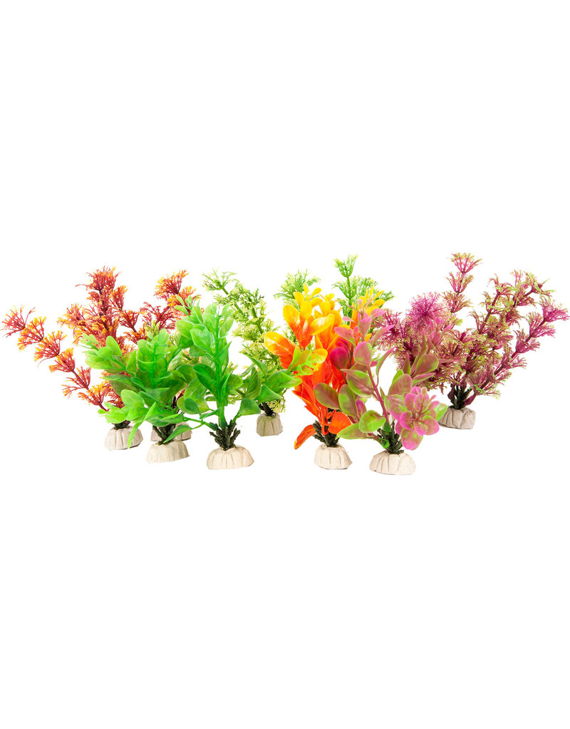 Aquatop Aquatop Pk Asst 5In sold as 10pk