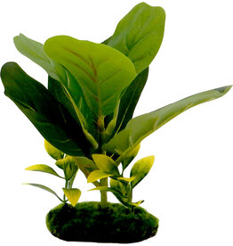 Blue Ribbon Pet Fiddle Leaf Green 8 in Aquarium Plant