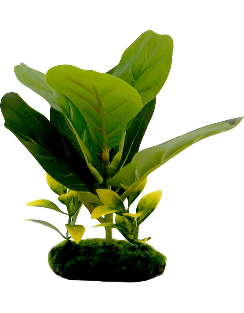 Blue Ribbon Pet Fiddle Leaf Green 8 in Aquarium Plant