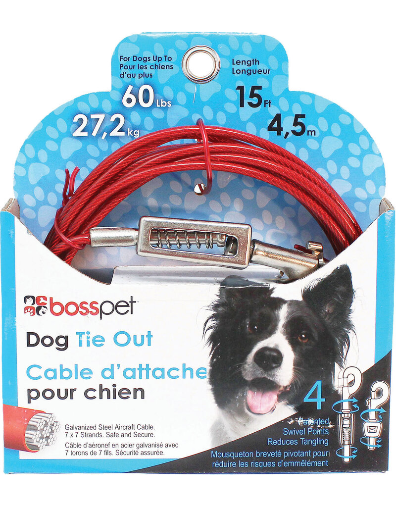 Boss/Pet Edge Boss Pet Tie-out 60lb LG 15ft Spring