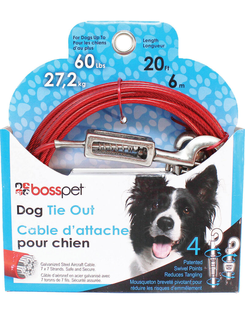 Boss/Pet Edge Boss Pet Tie-out 60lb LG 20ft spring
