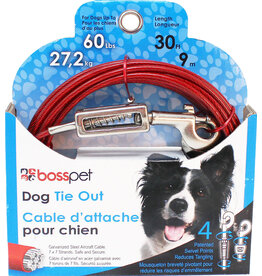 Boss/Pet Edge Boss Pet Tie-out 60lb LG 30ft spring