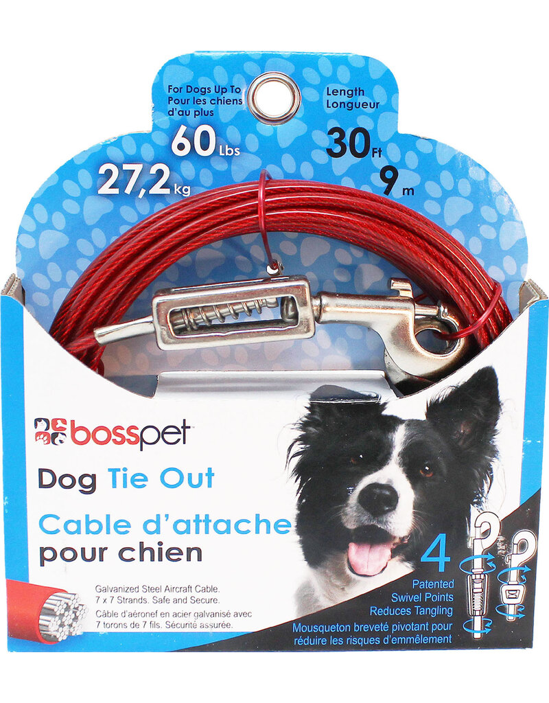 Boss/Pet Edge Boss Pet Tie-out 60lb LG 30ft spring