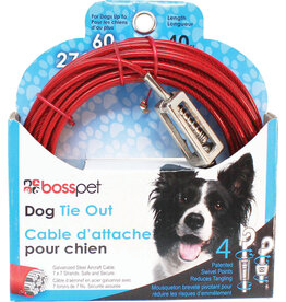 Boss/Pet Edge Boss Pet Tie-out 60lb LG 40ft Spring