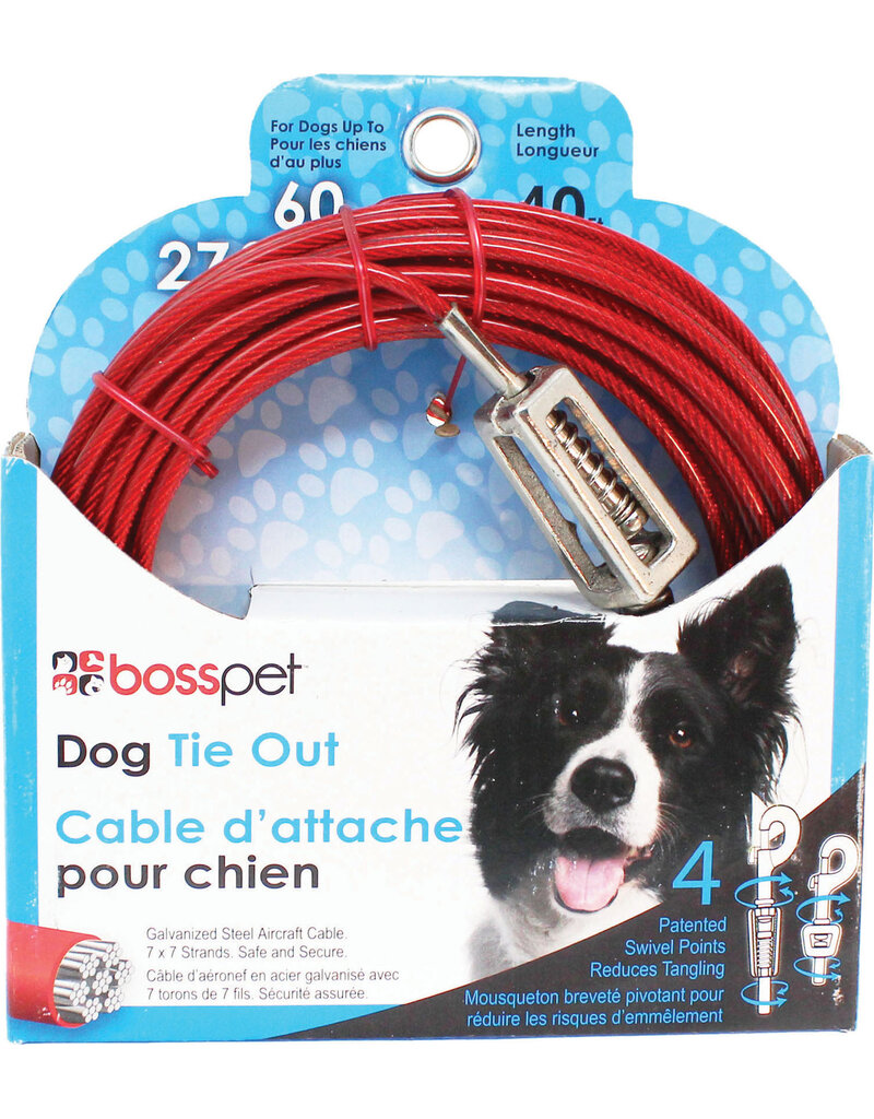 Boss/Pet Edge Boss Pet Tie-out 60lb LG 40ft Spring