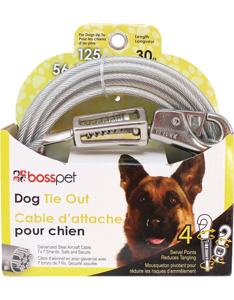 Boss/Pet Edge Boss Pet Tie-out 125lb XL 15ft spring