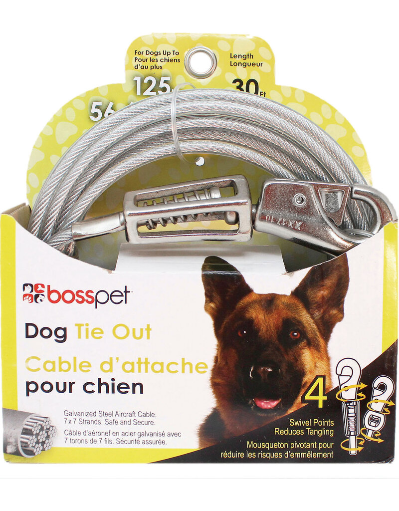 Boss/Pet Edge Boss Pet Tie-out  125lb XL 30ft Spring