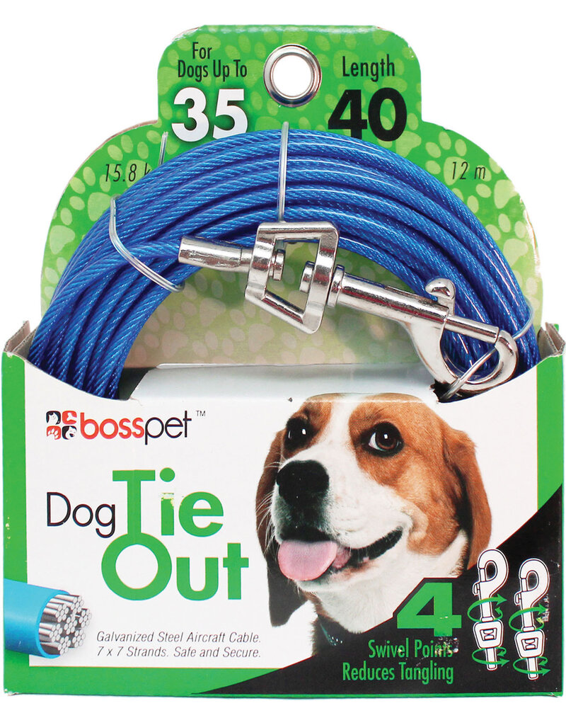 Boss/Pet Edge Boss Pet Tie-out 35lb MD 40ft swivel  snap