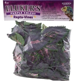 Fluker Farms Repta Vine Purple Coleus Terrarium Plant 6 ft
