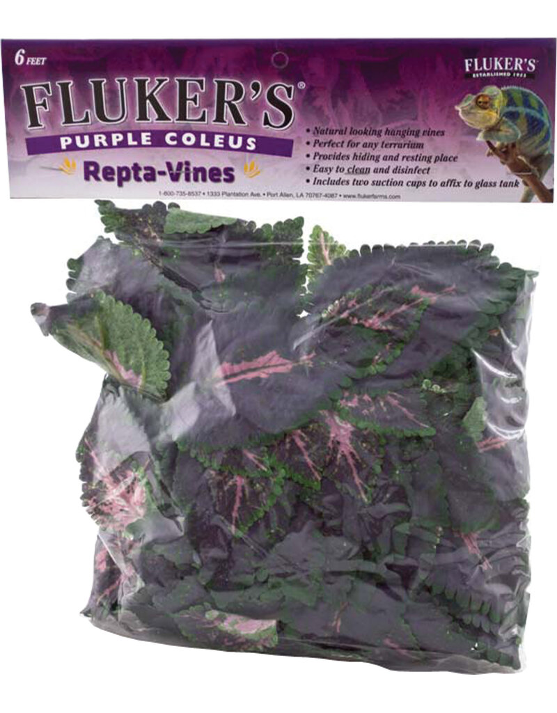 Fluker Farms Repta Vine Purple Coleus Terrarium Plant 6 ft