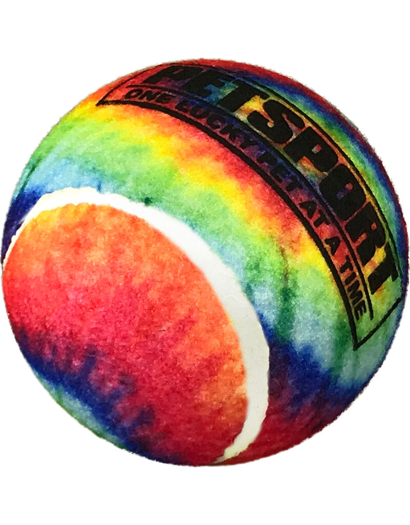 Petsport Tie Dye Squeak Ball Dog Toy 4 in