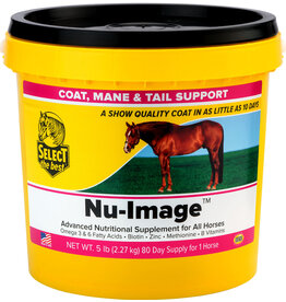 Richdel Richdel Nu-Image Equine Nutritional Supplement
