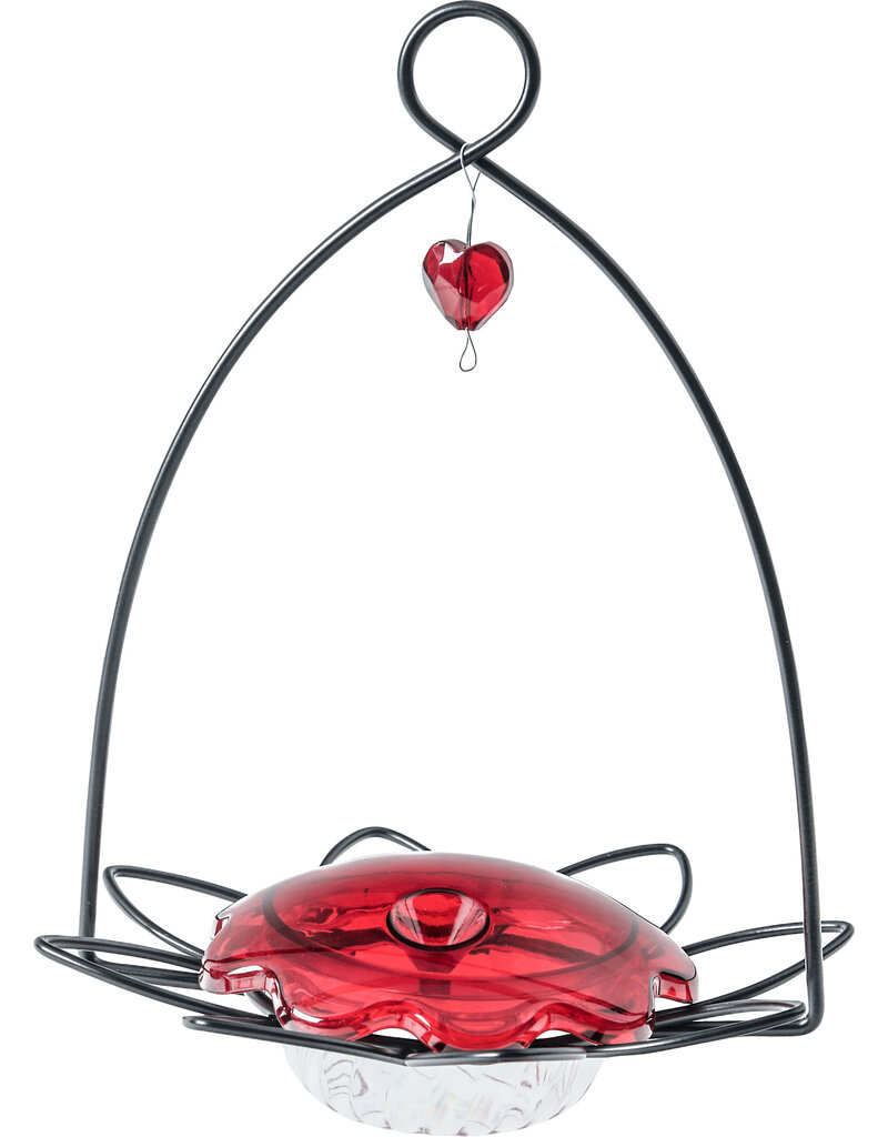 Backyard Nature Hummingbird Feeder Red 3.5 Oz