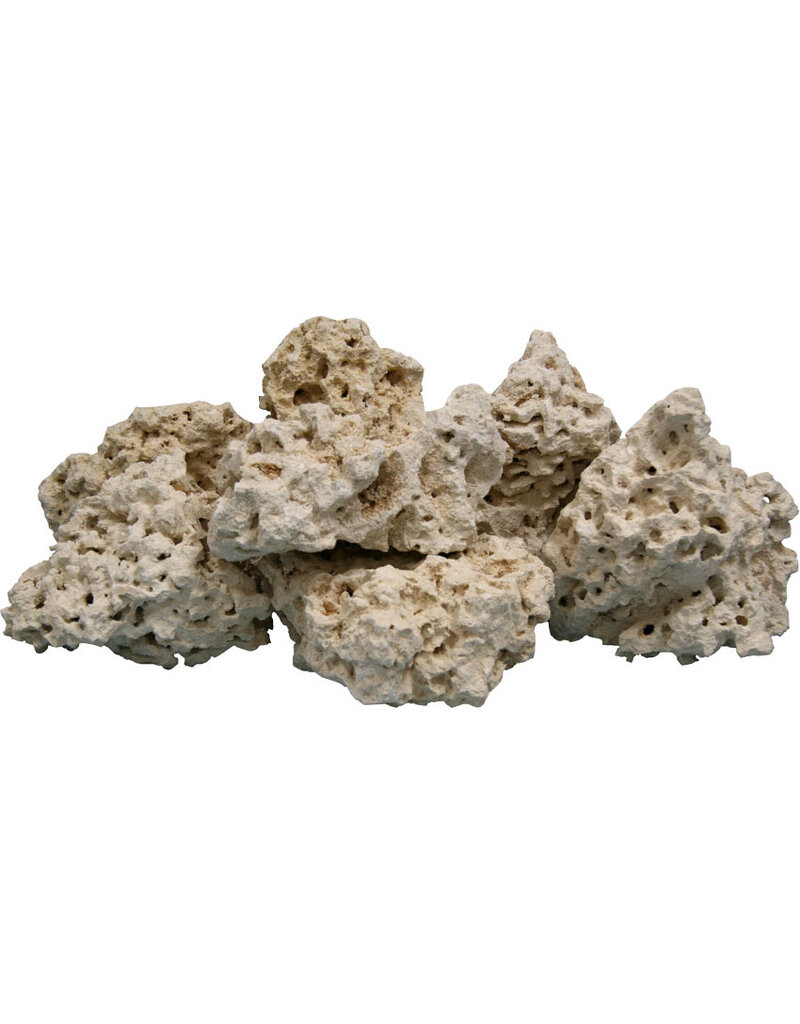 WORLD WIDE IMPORTS Coral Base Rock 4-8 In 40 lb Full Box