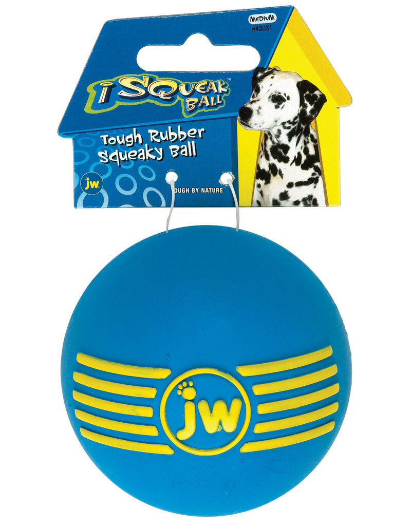 JW JW Isqueak Dog Ball Toy Medium
