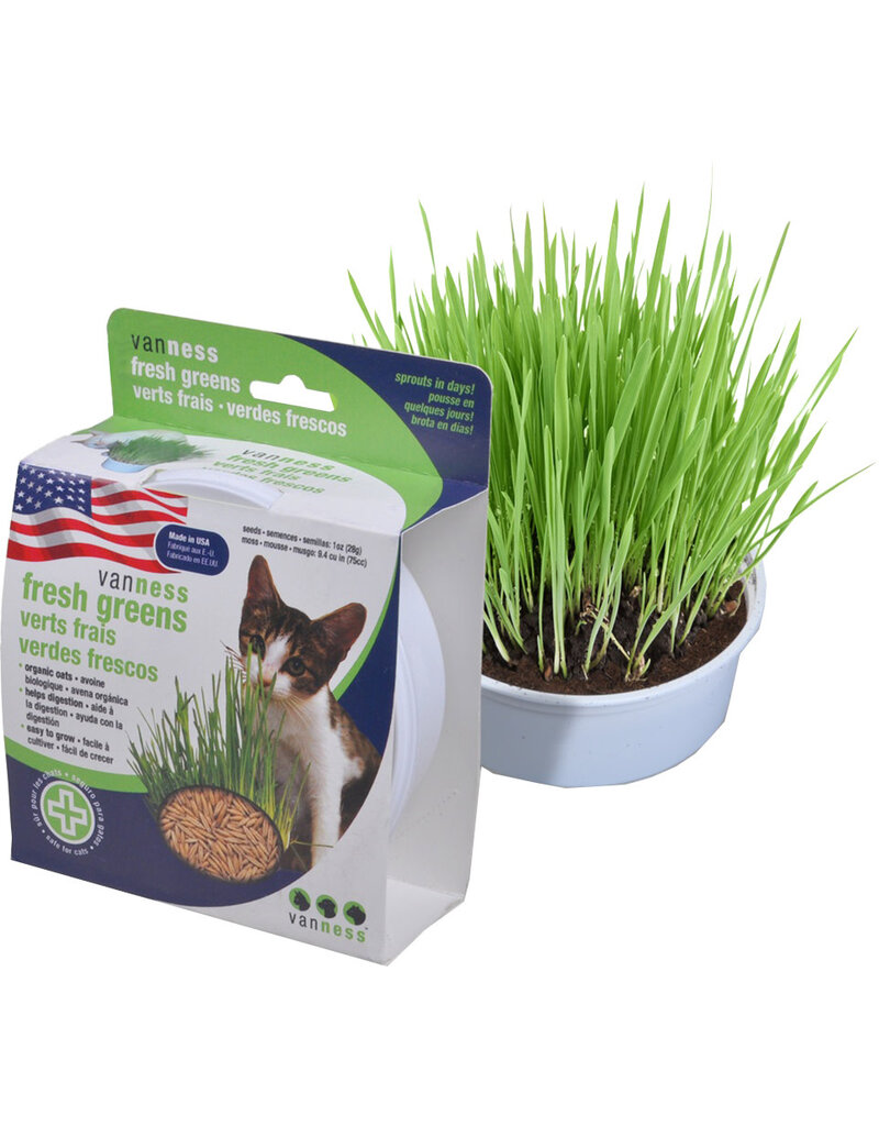 Van Ness Van Ness Oat Garden Kit