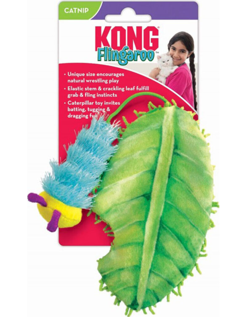 Kong Company Kong Flingaroo Caterpillar Dog Toy