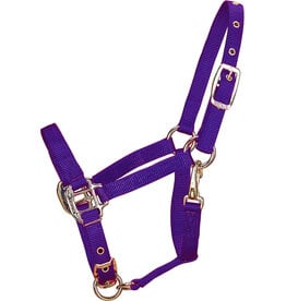 Hamilton Hamilton Chin Halter Pony