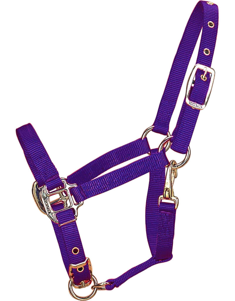 Hamilton Hamilton Chin Halter Pony