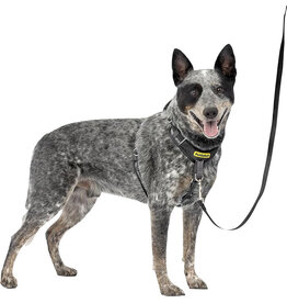 Petsafe Petsafe Easy Walk Comfort Dog Harness Black Md/Large