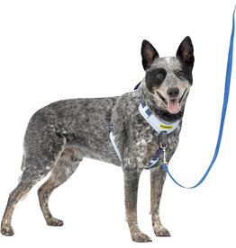 Petsafe Petsafe Easy Walk Comfort Dog Harness Blue Md/Lg