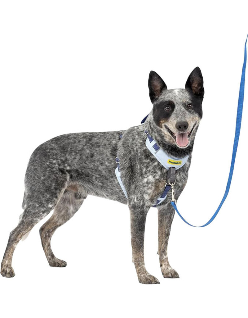 Petsafe Petsafe Easy Walk Comfort Dog Harness Blue Md/Lg
