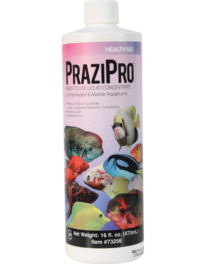 AQUARIUM SOLUTIONS Aquarium Solutions Prazipro Health Aid 16 Oz