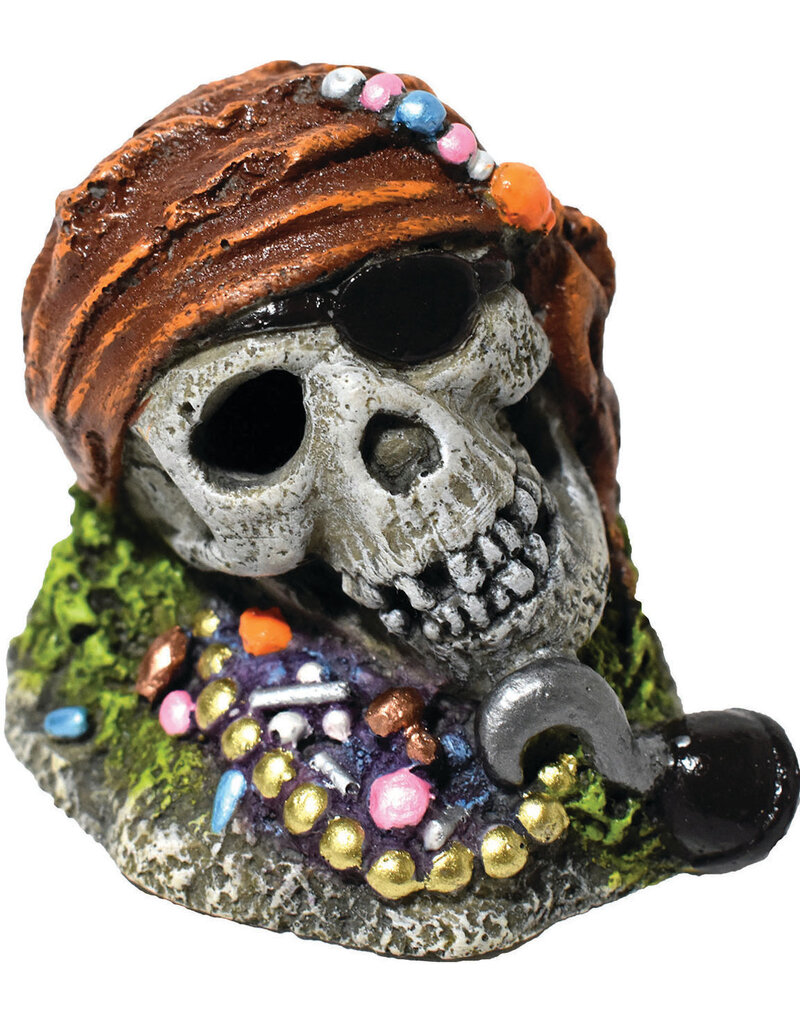 Hikari Hikari Skull W/Treasure Aquarium Ornament 2.7 In