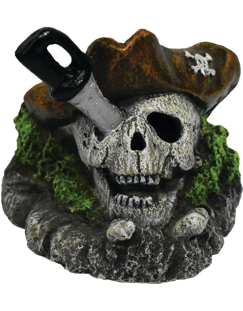 Hikari Hikari Pirate Skull Aquarium Ornament 3.5 In