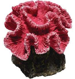 Hikari Hikari Coral Pink Aquarium Ornament 2.9 In