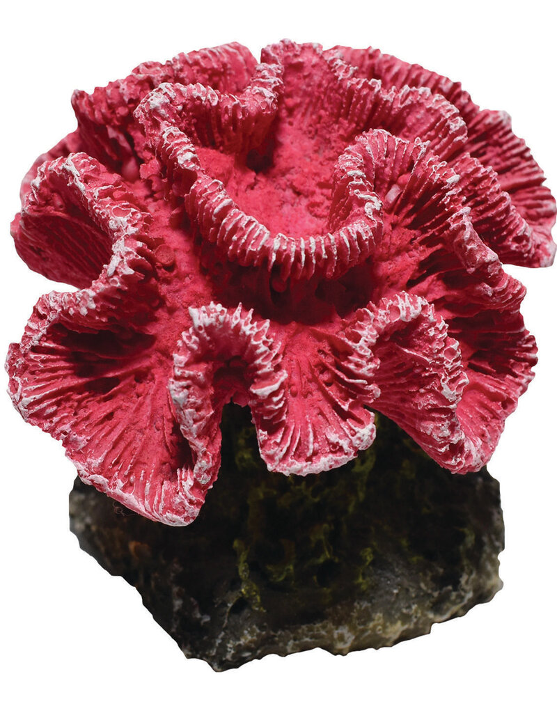 Hikari Hikari Coral Pink Aquarium Ornament 2.9 In