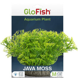 Tetra Tetra GloFish Aquarium Plant Java Moss Medium