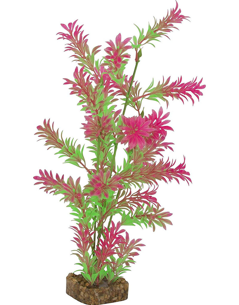 Tetra Tetra GloFish Multi Color Aquarium Plant Green/Pink LG