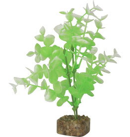 Tetra Tetra GloFish Multi Color Aquarium Plant Green/White Med