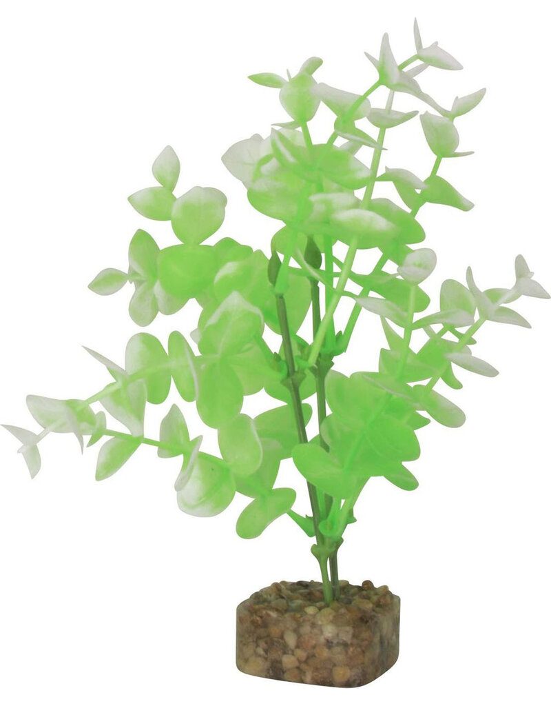Tetra Tetra GloFish Multi Color Aquarium Plant Green/White Med