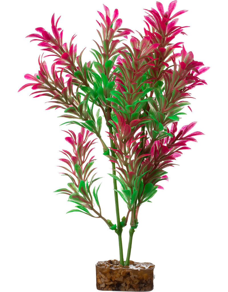 Tetra Tetra GloFish Multi Color Aquarium Plant Green/Pink MD