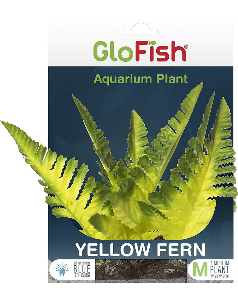 Tetra Tetra GloFish Yellow Fern Plant