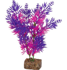 Tetra Tetra GloFish Multi Color Aquarium Plant Purple/Pink MD