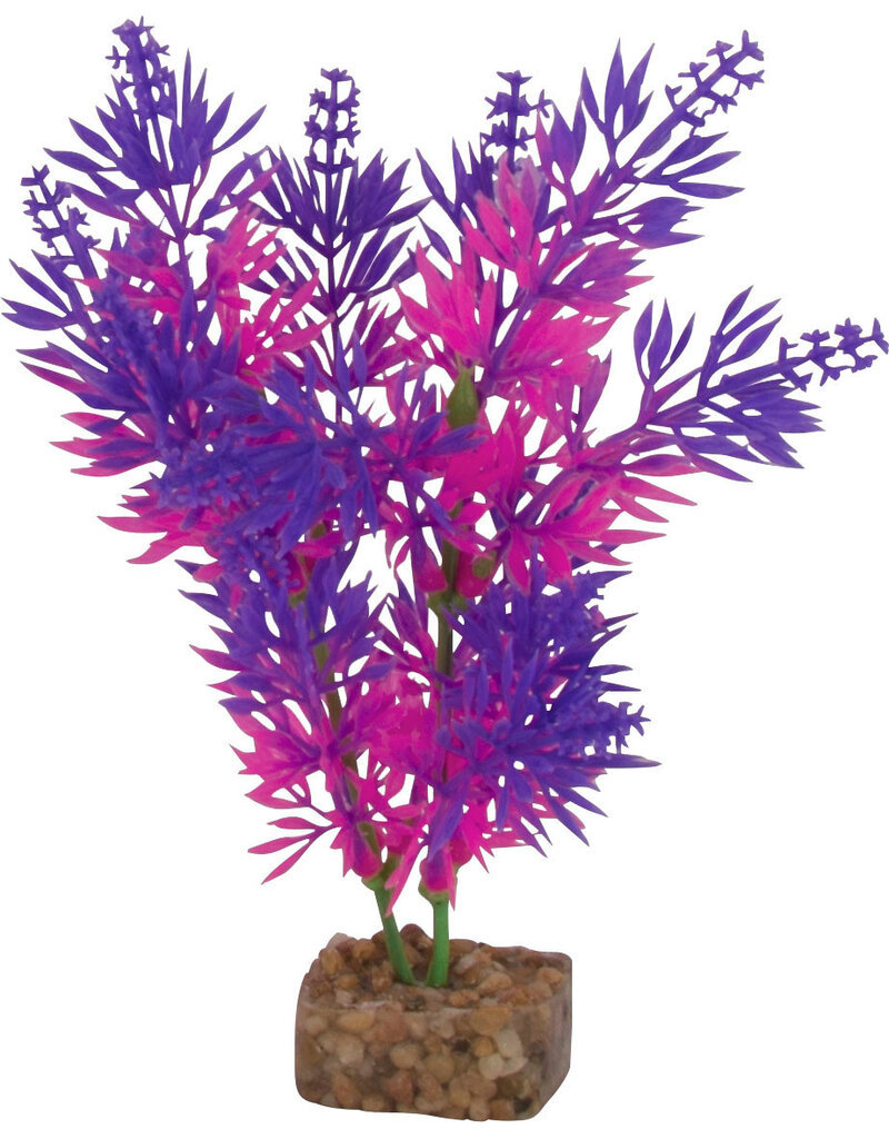Tetra Tetra GloFish Multi Color Aquarium Plant Purple/Pink MD