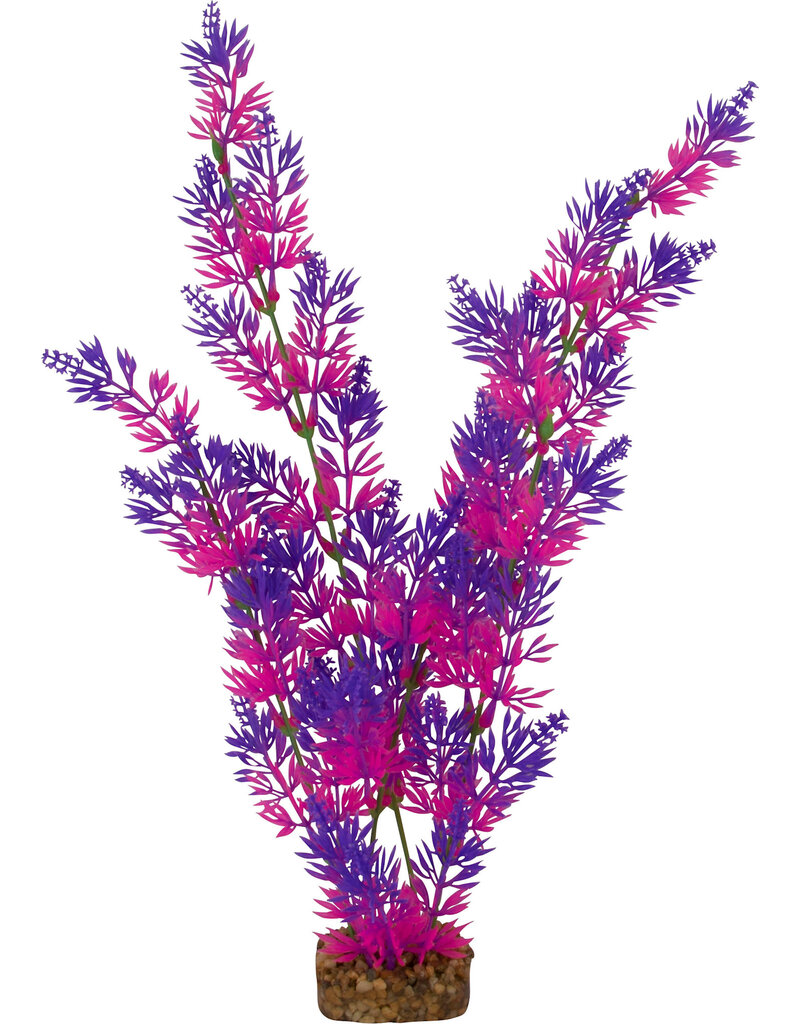 Tetra Glofish Aquarium Plant