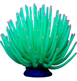 Tetra Aqueon Anemone Green Lg