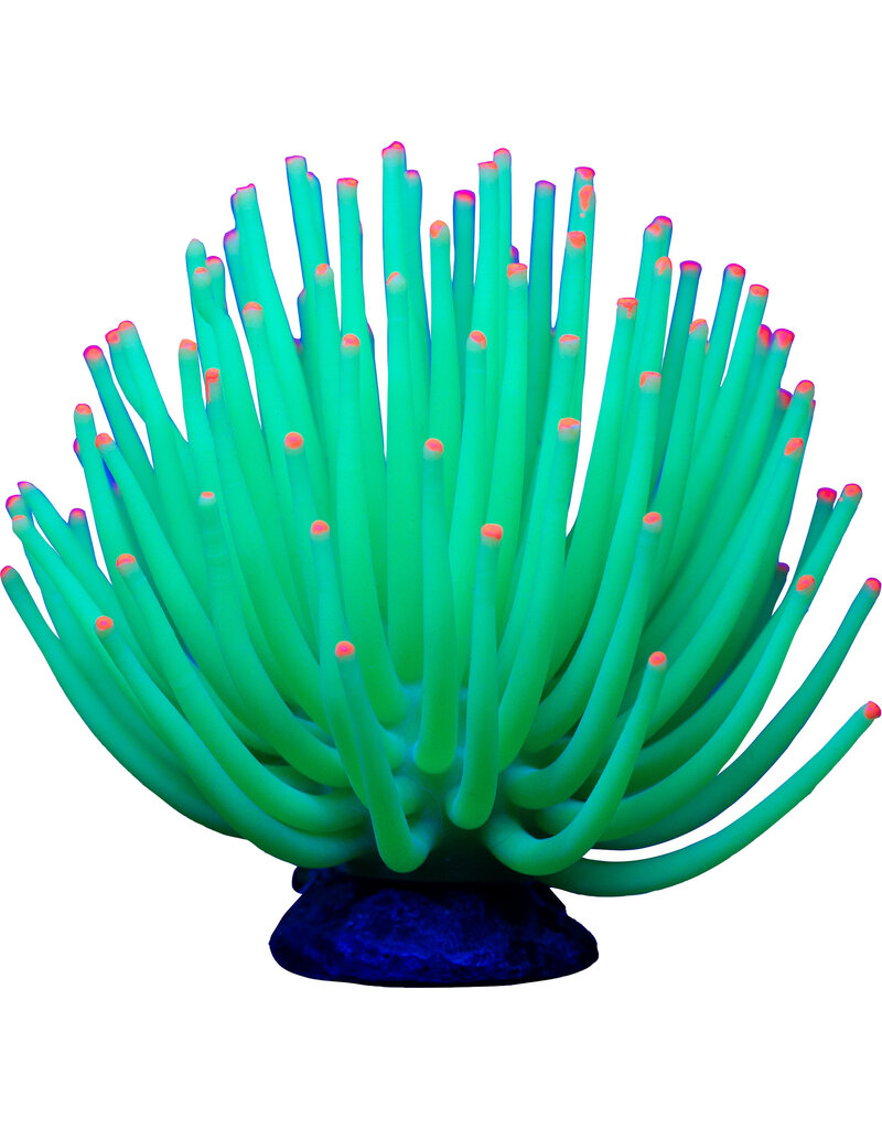 Tetra Aqueon Anemone Green Lg