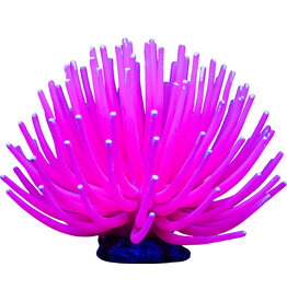 Tetra Aqueon Anemone Pink Lg