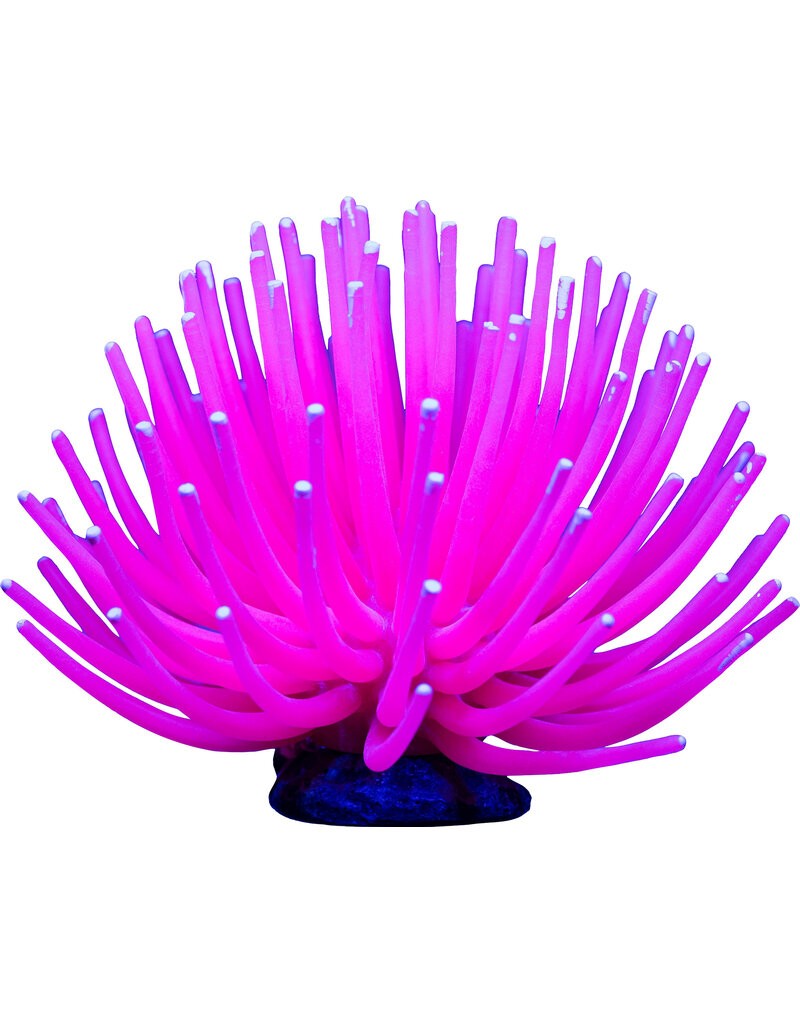 Tetra Aqueon Anemone Pink Lg