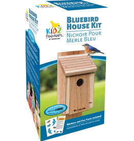 Audobon DIY Craft Kit Bluebird House