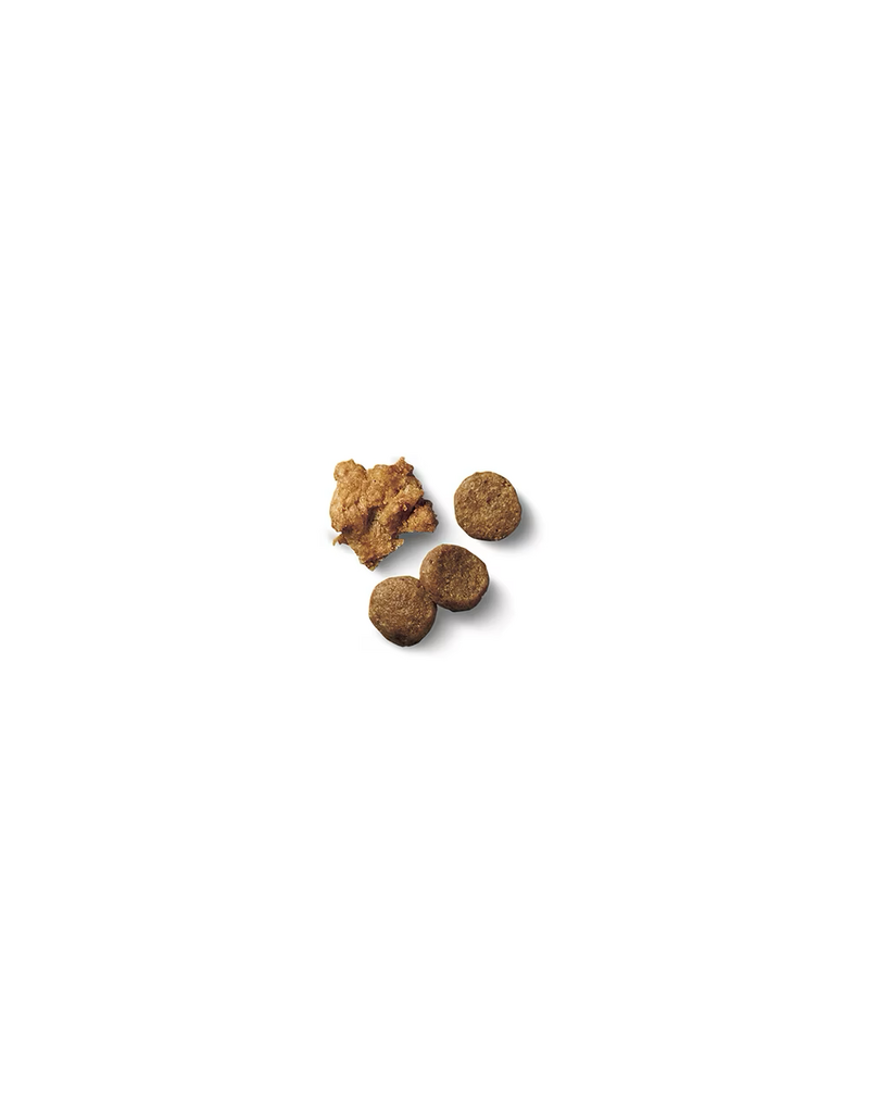 ProPlan Pro Plan Shredded Blend Chicken & Rice Puppy Food