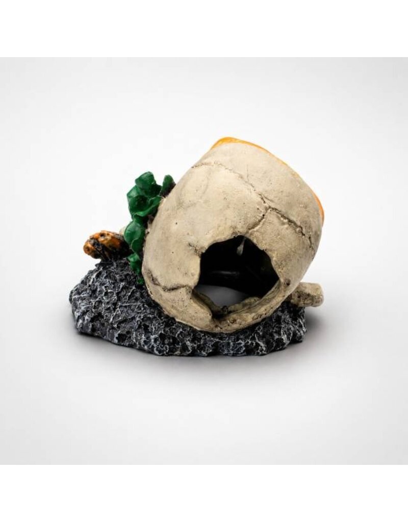 Aquatop Skull Aquarium Ornament 3.5X3.4X3.1 In