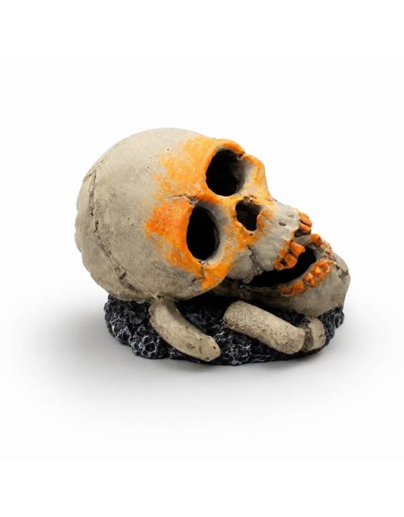 Aquatop Skull Aquarium Ornament 3.5X3.4X3.1 In