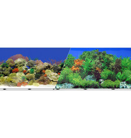 Blue Ribbon Pet Blue Ribbon 24" Background Dbl Sided  Coral Reef & Garden Per Foot