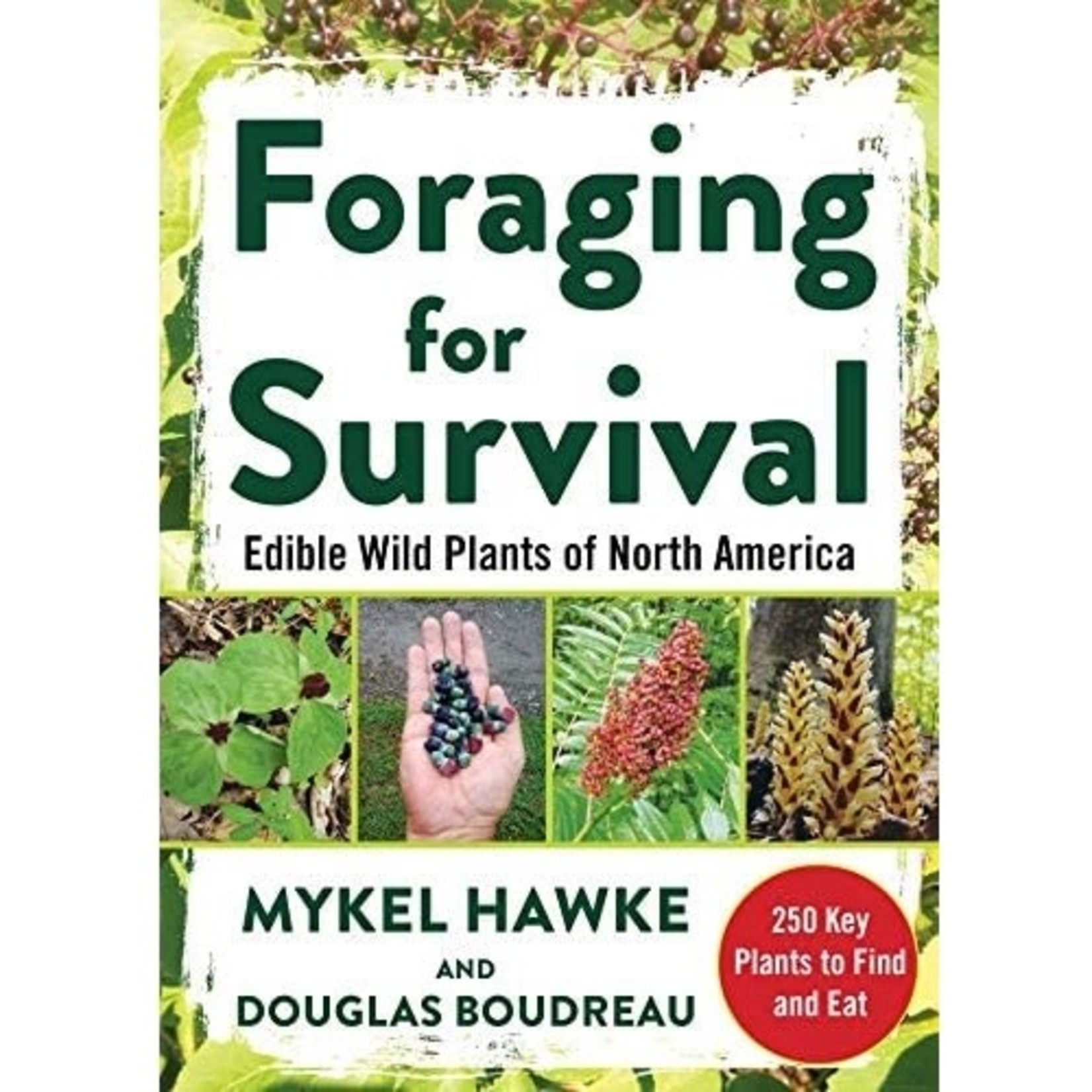 Foraging for Survival Book
